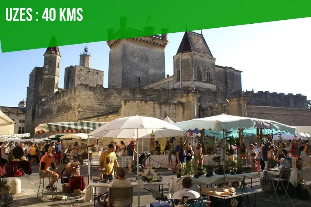 Au Coeur D'Avignon - 2 Mins Du Palais - Terrasse Isolee Apartment France